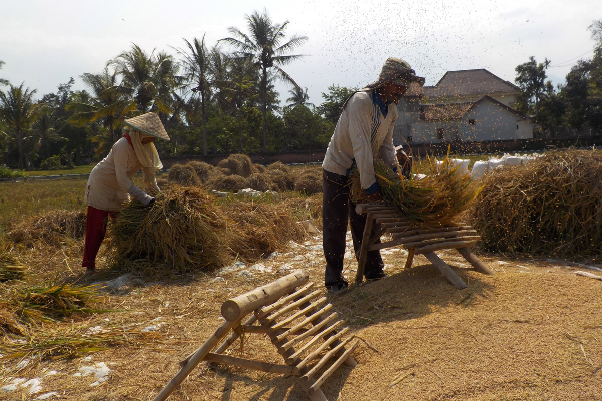 Tugaskan Serap Beras  Senilai Rp 30 Triliun, Mendag: Bulog Mampu