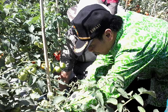 Pemkab Bondowoso Gagas Pembentukan  Widya Wisata Berbasis Pertanian 