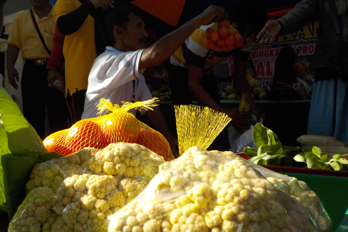  Bondowoso Galakkan Gerakan Konsumsi Sayur Organik