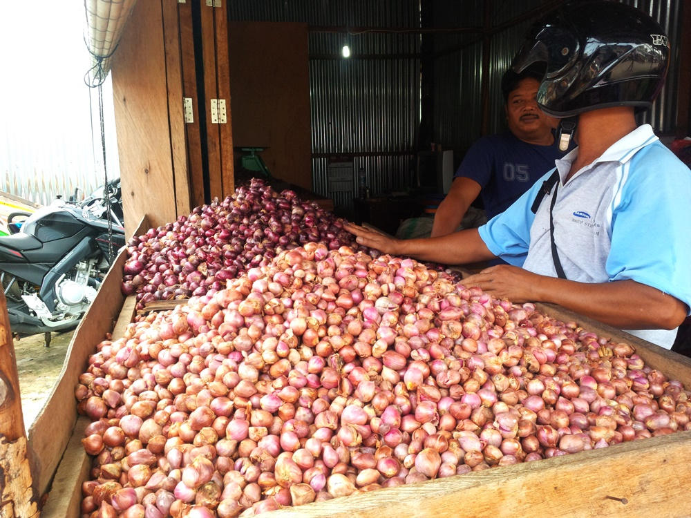 Menurut Peneliti, Ini Sebab Indonesia Masih Impor Bawang