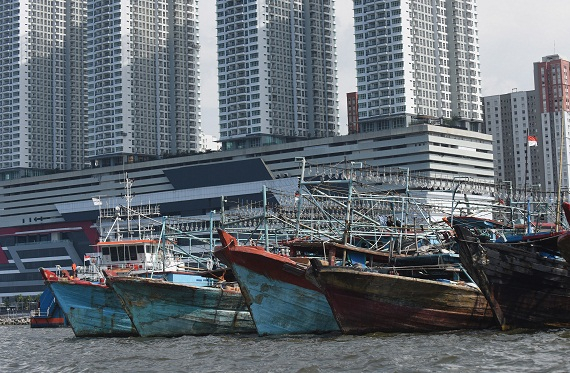 Produksi Ikan TPI Muara Angke Meningkat