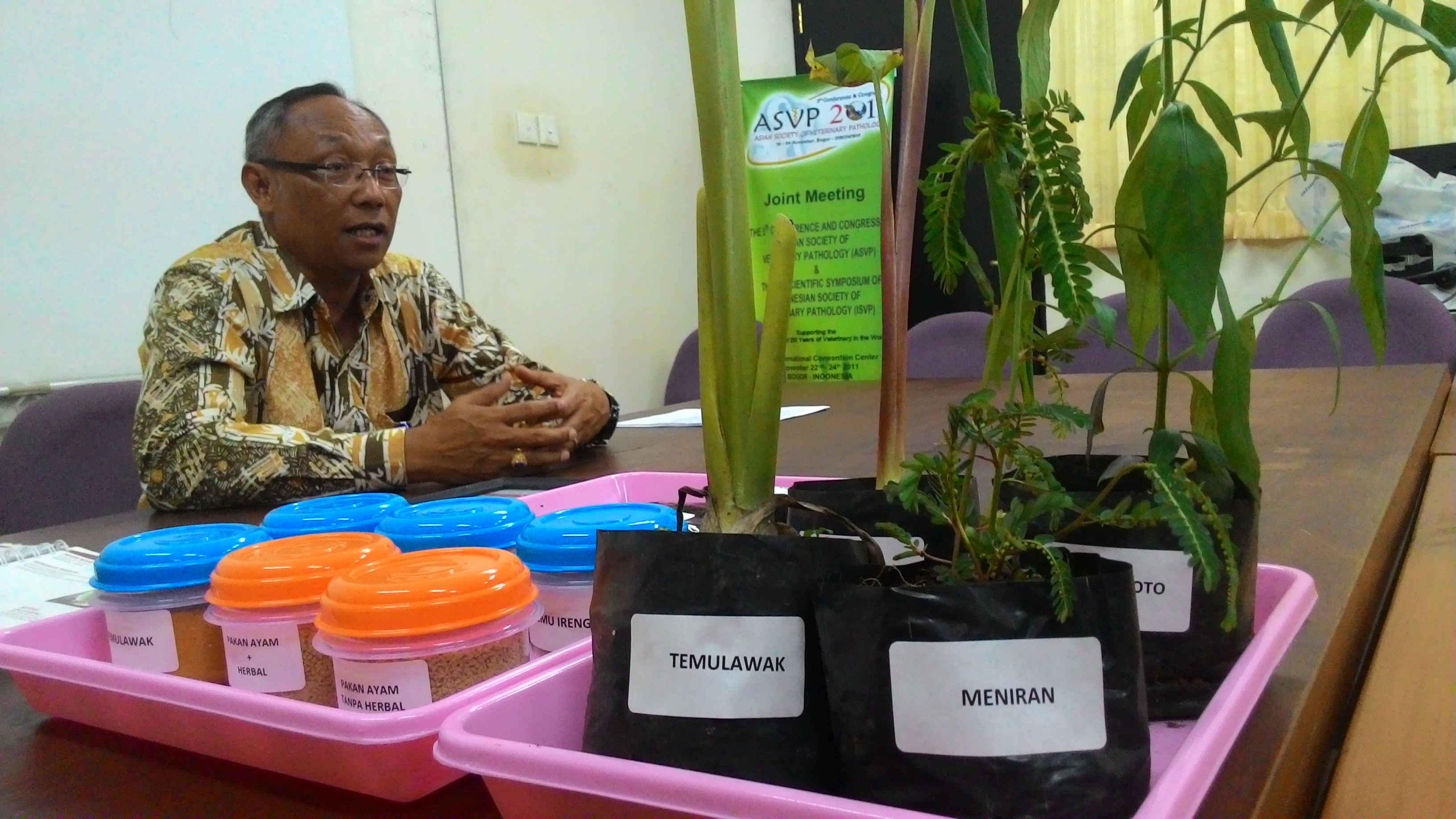 Peneliti IPB Temukan Jamu Pencegah Flu Burung pada Unggas