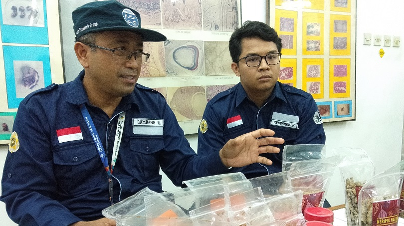 Permintaan Pasar Tinggi, UGM Kembangkan Teknologi Mempercepat Budidaya Wader Pari