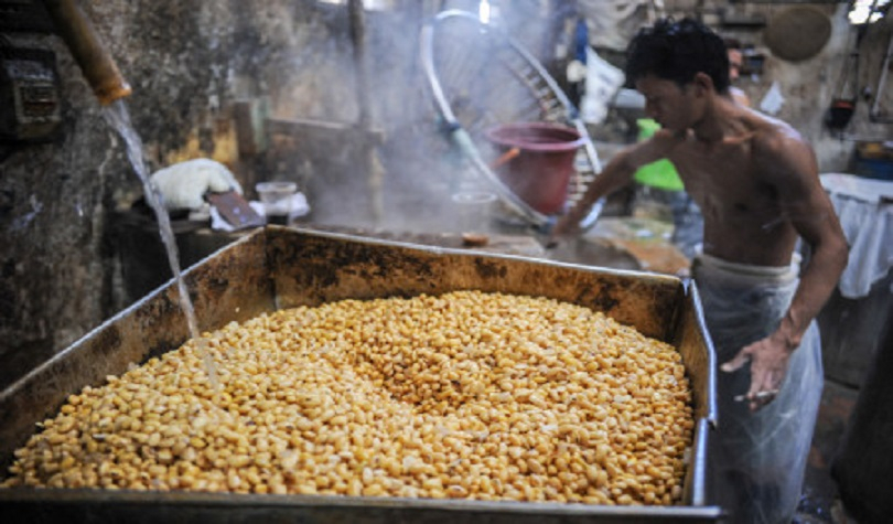 Industri Tahu Tempe  Mogok, Pengamat Dorong Swasembada Kedelai