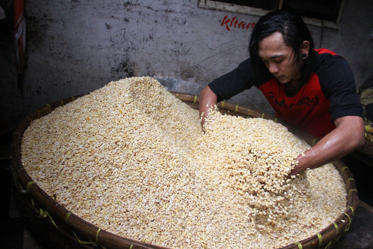 Harga Rendah, Petani Cilacap Malas Tanam Kedelai