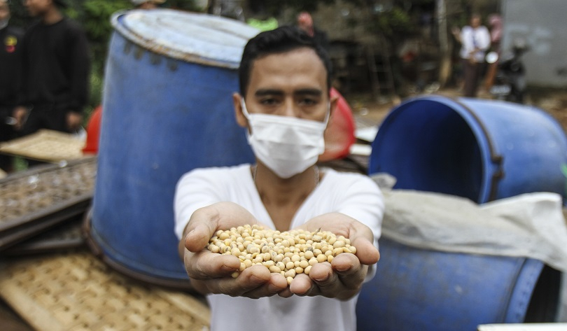 Ditargetkan Tanam Kedelai 50 Ribu Hektare, Distan NTB: Tanpa Bantuan Benih dan Pestisida