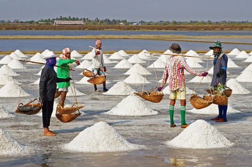 Petani Garam Minta Pemerintah Audit Garam Nasional