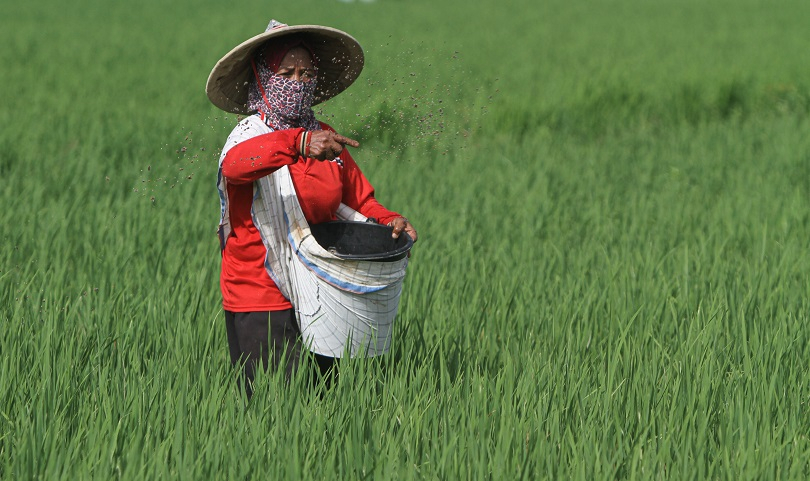 Pemerintah Siapkan Satu Penyuluh Pertanian Tiap Desa