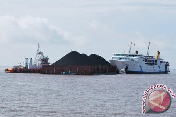 Ganggu Habitat Pesut, Ponton Batubara Dilarang Melintasi Sungai Kedang