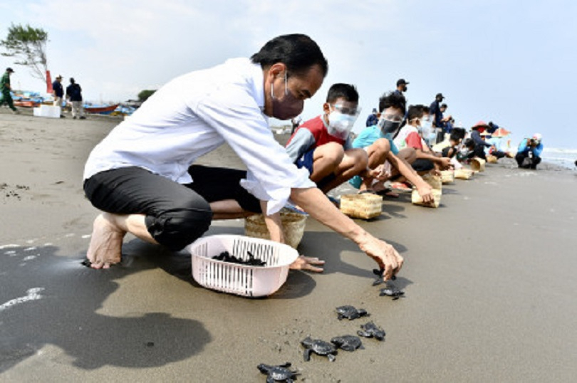 Kunjungi Bali, Jokowi: Rehabilitasi Pesisir dengan Mangrove