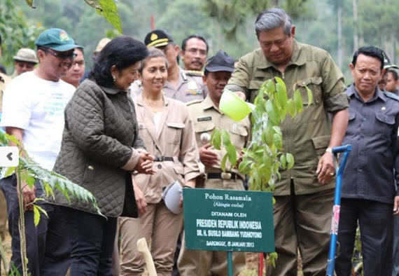 #16TahunKBR dan Adopsi Pohon