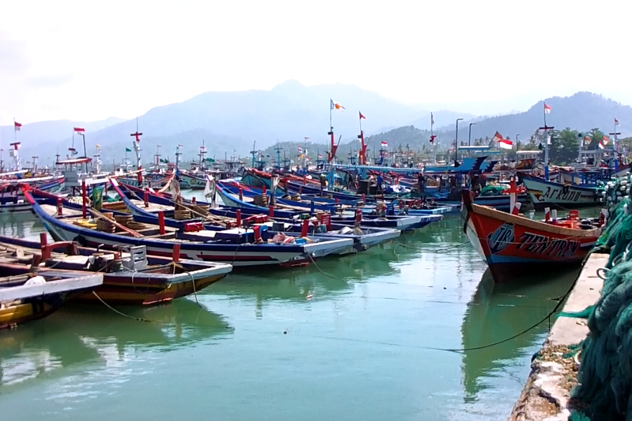 KKP Bakal Beli 5.000 Kapal, Ini Sebarannya