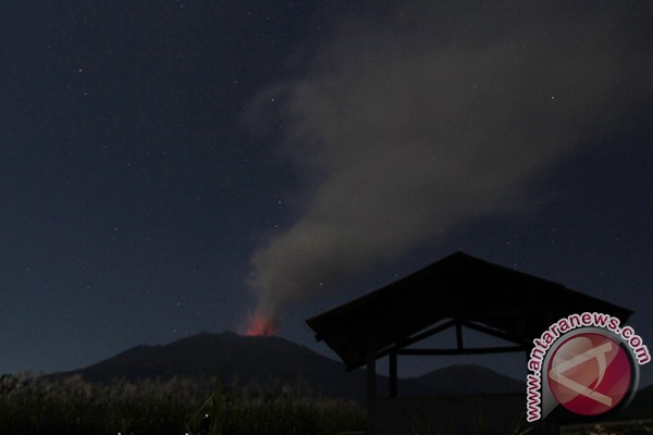 Pertanian Kopi dan Tebu Paling Terkena Dampak Erupsi Gunung Raung