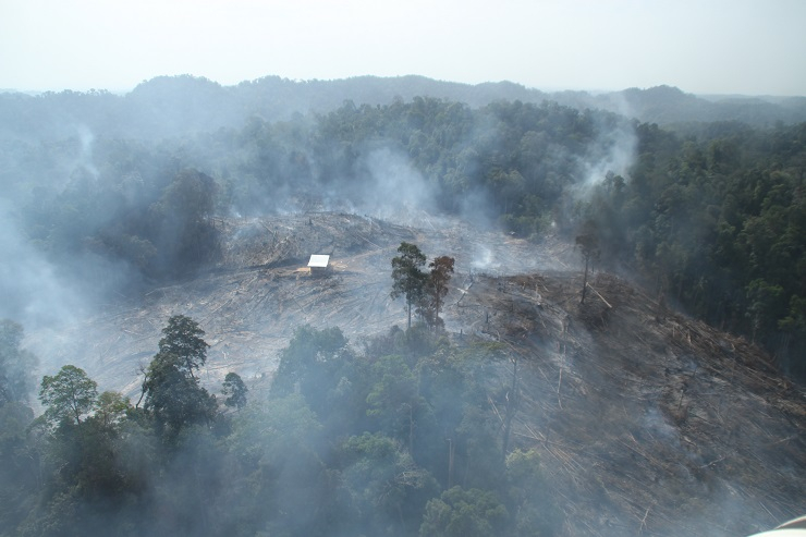 Mengikuti Proses Water Bombing Titik Panas di Rokan Hulu 
