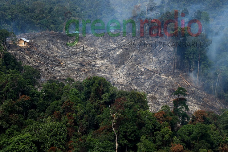 Pemandangan dari atas (Foto: Green Radio Pekanbaru)