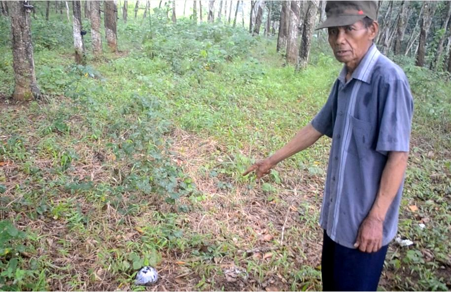 Kemenko Polhukam Tunggu Laporan Data Kuburan Massal Korban 1965