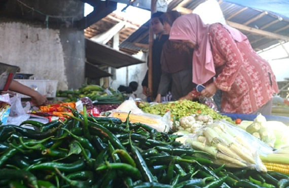 Jelang Ramadhan, Harga Sayur Anjlok