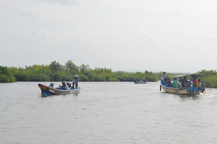 Pendangkalan Laguna Segara Anakan Cilacap Makin Parah