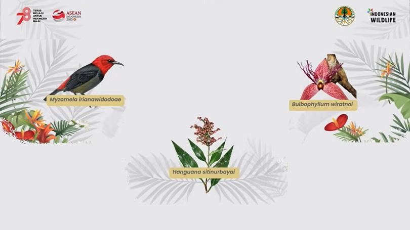 3 Tahun Terakhir, KLHK-BRIN Temukan 90 Spesies Baru Flora Fauna