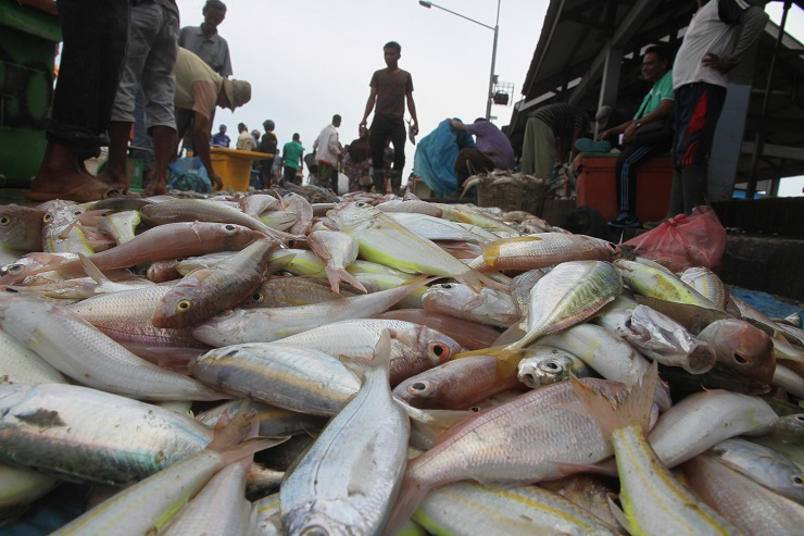 Nelayan Rembang Pesimistis dengan Wacana Revitalisasi TPI