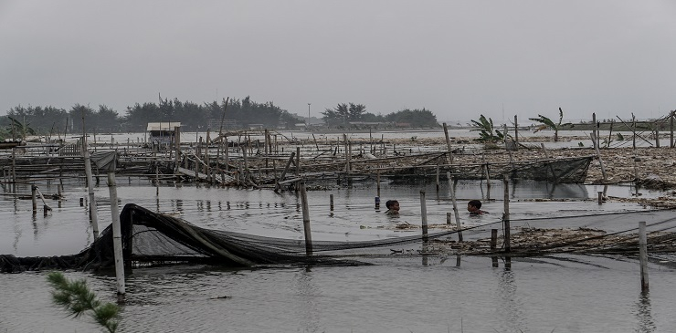25 Hektare Tambak Udang Situbondo Tersapu Banjir Rob 