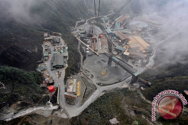 Pemerintah Tahan Izin Ekspor Freeport
