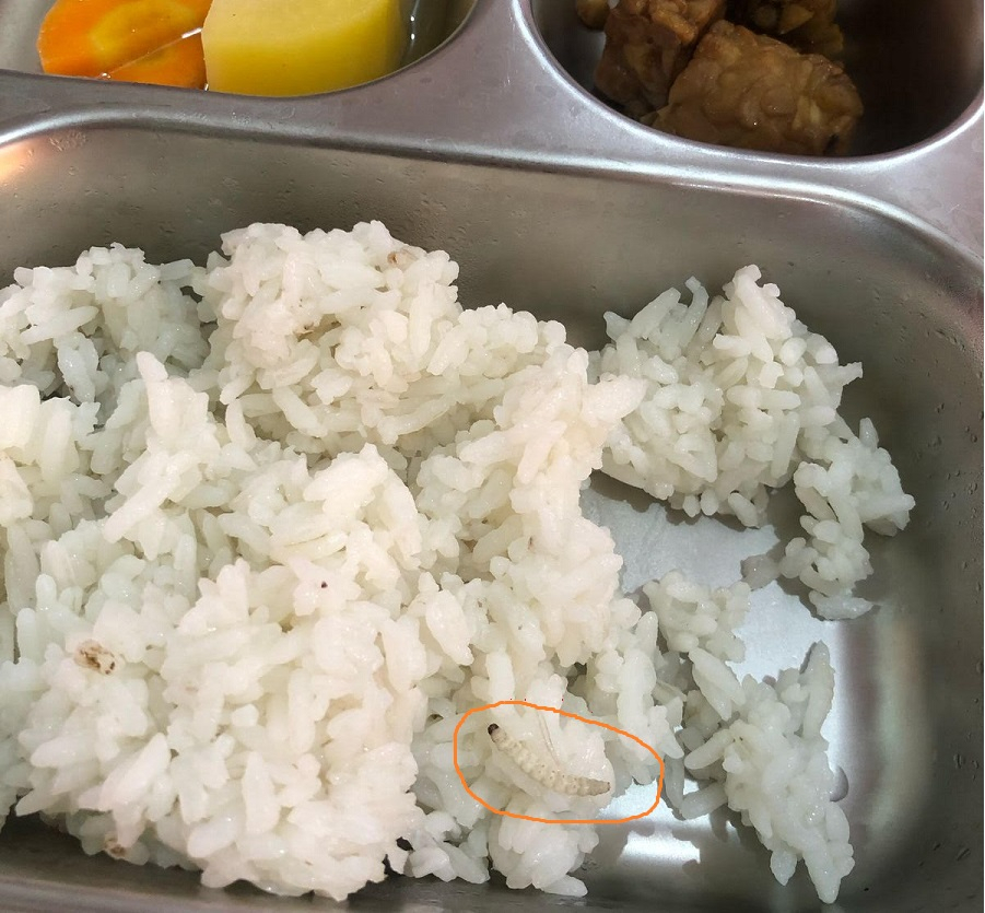 Makanan Basi dan Ulat di Menu MBG SMK 4 Yogyakarta