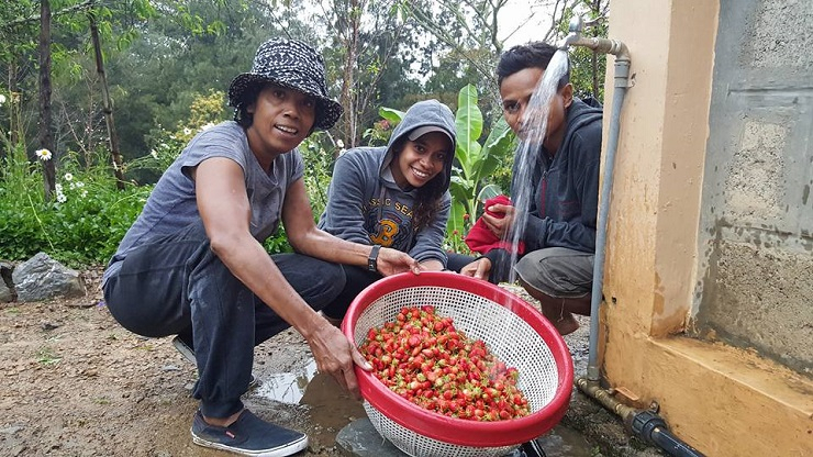 Aktivis Timor Leste Raih Penghargaan Karena Suarakan Penghapusan KDRT 