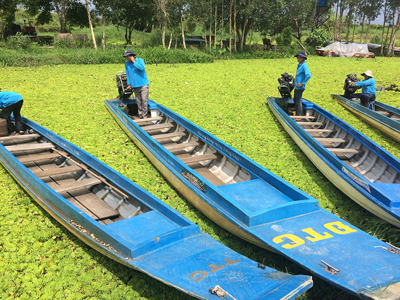 Vietnam’s sinking rice bowl