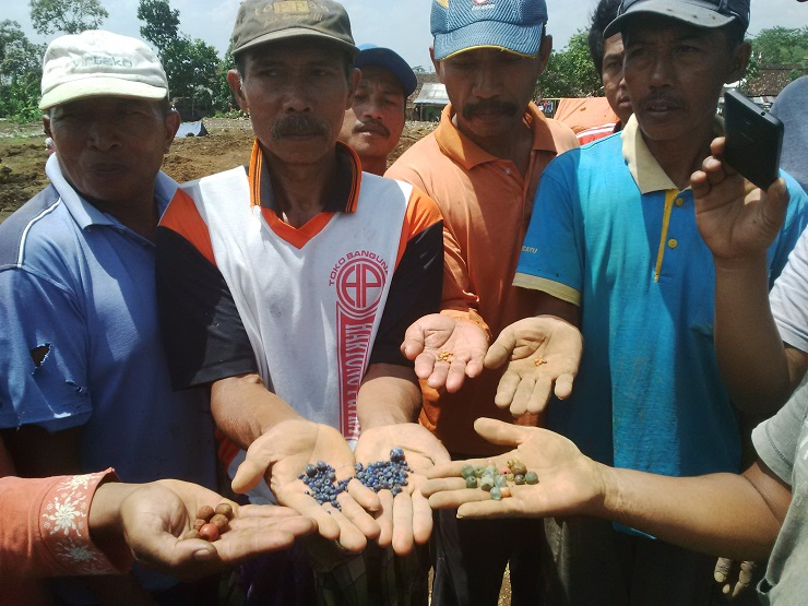 Penjelasan Arkeolog soal Manik-manik Kuno dari Lahan Glenmore