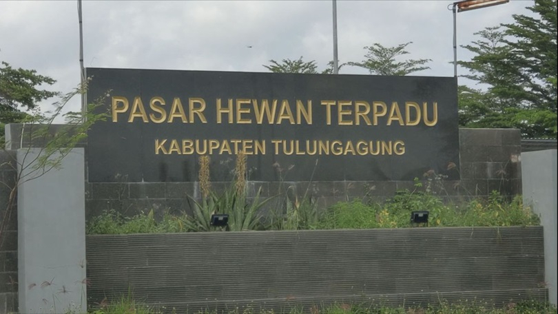 Cegah  Penyakit Mulut Kuku, Pemkab Tulungagung Tutup Sementara Pasar Hewan