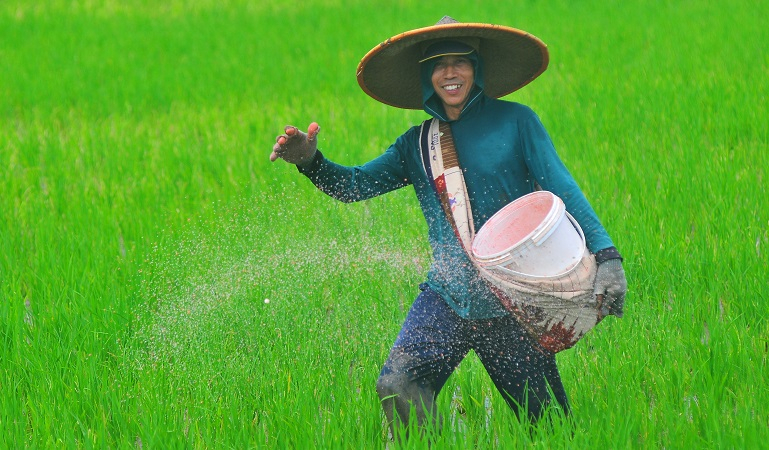 Tahun 2025, Pemprov Jateng Target Panen Padi 11 Juta Ton