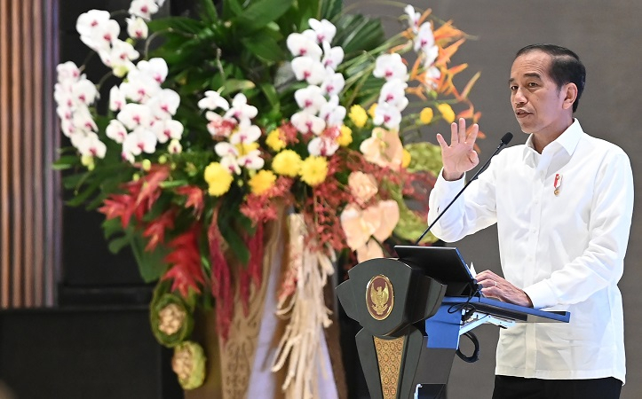 Jokowi Ajak Kepala Daerah Tiru Konsep Pembangunan IKN