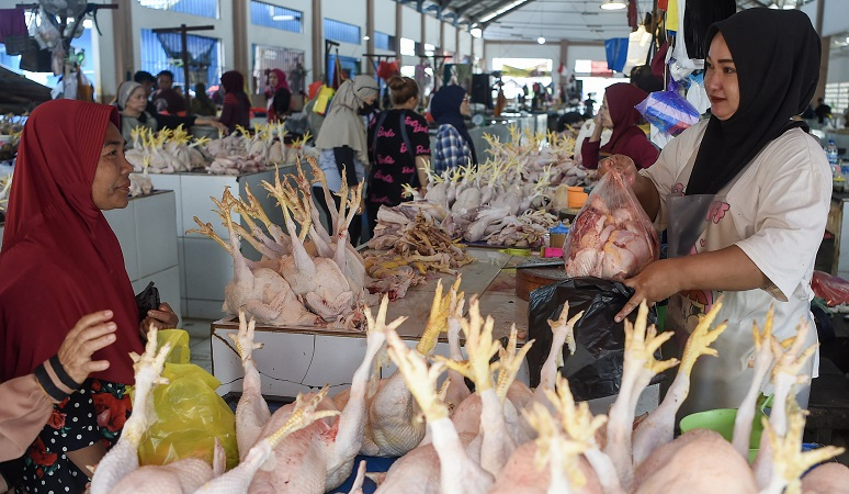 Stok Ayam dan Telur Cukup, Zulhas Minta Masyarakat Tak Khawatir