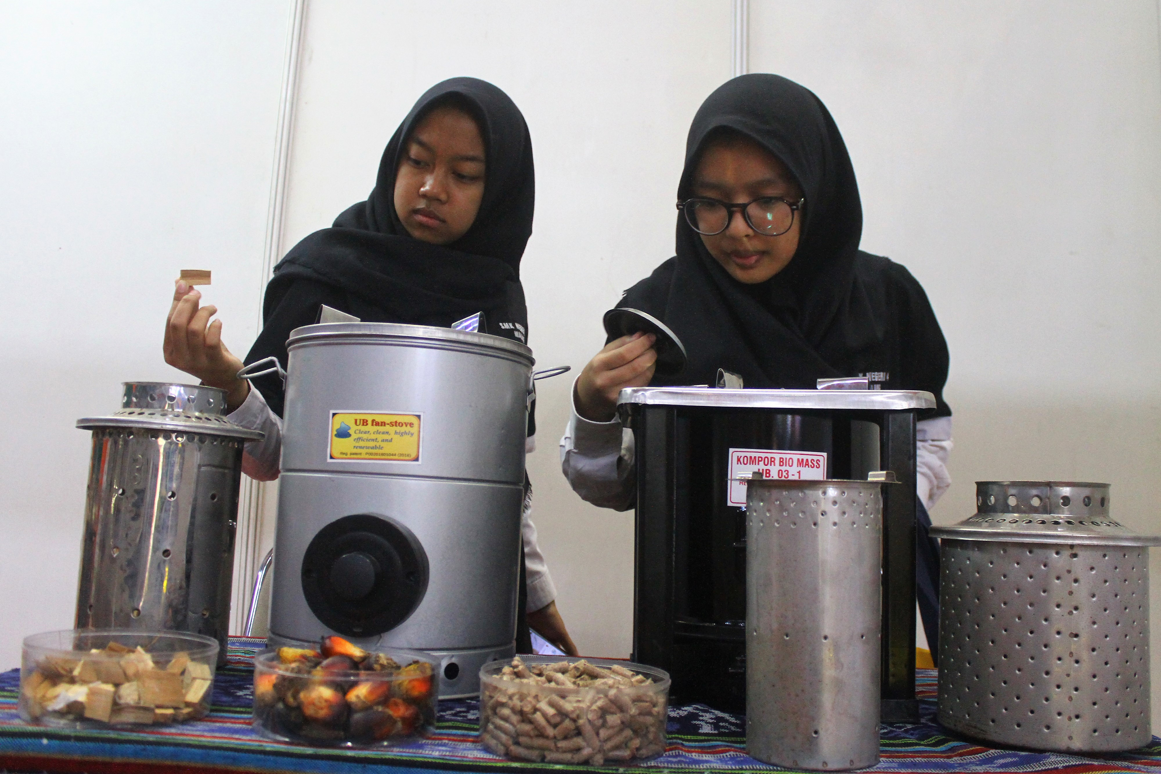 OECD: Indonesia Minim Inovasi Teknologi Ramah Lingkungan