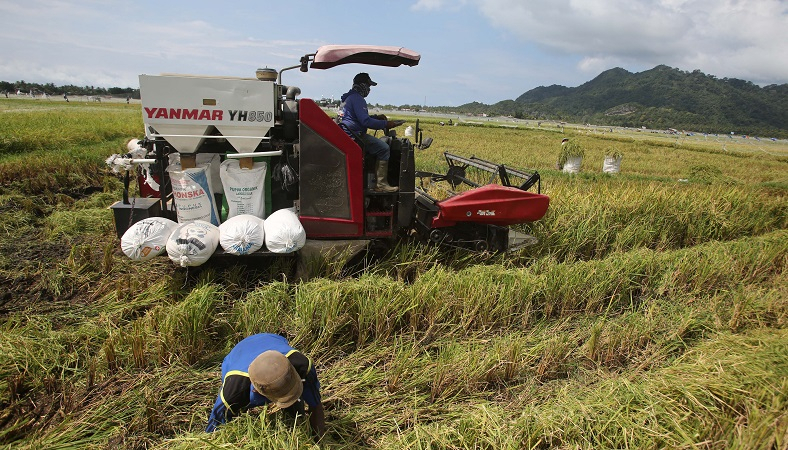 Pemerintah Siapkan Rp16 Triliun untuk Serap 3 Juta Ton Beras Petani