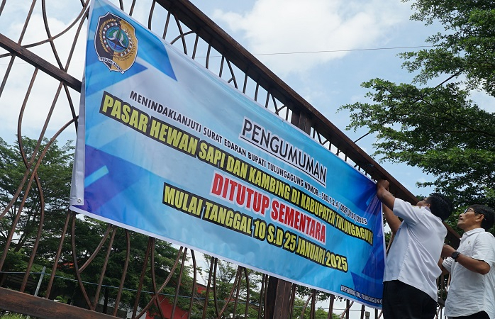 Ramai-ramai Pasar Hewan Tutup Imbas Penyakit Mulut dan Kuku