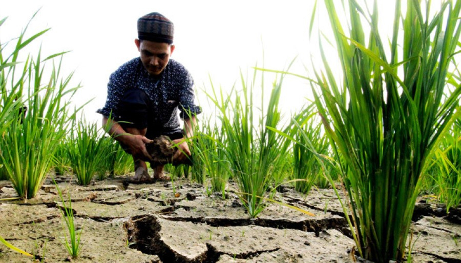 Juli 2023, Sejumlah Provinsi Ini Alami Kekeringan Sedang