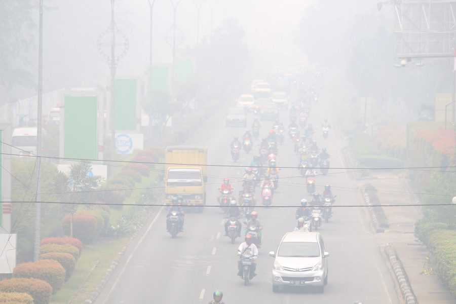 Akibat Karhutla, 144 Ribu Orang Kena ISPA