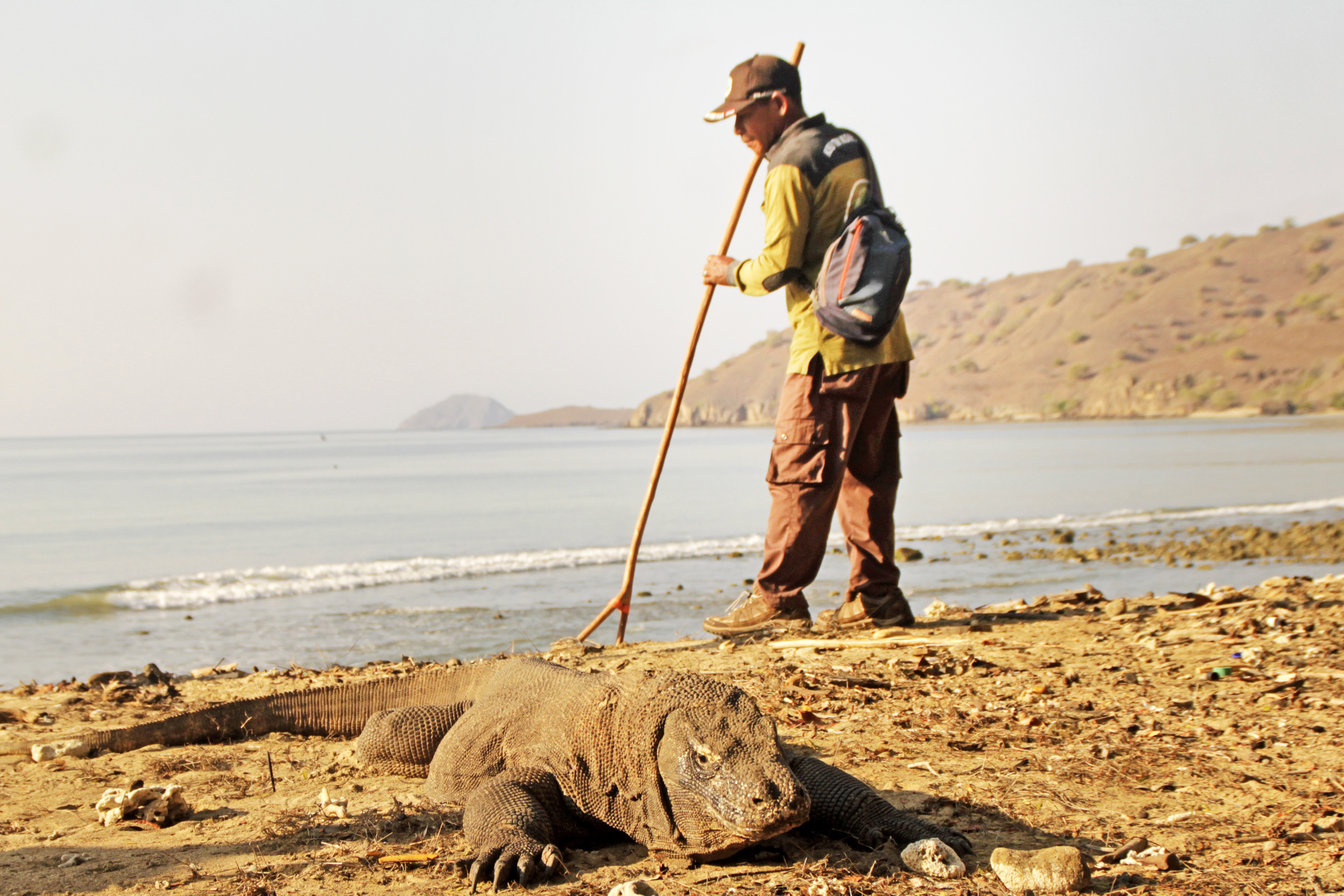 Luhut Binsar Pandjaitan Bantah Penutupan Pulau Komodo