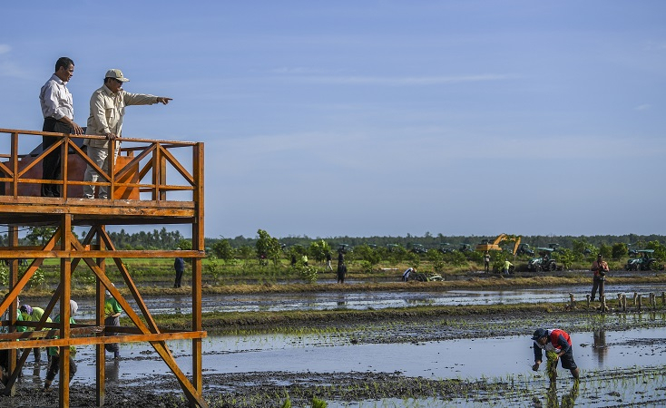 Prabowo Akan Cetak Sawah 1 Juta Hektare di Merauke