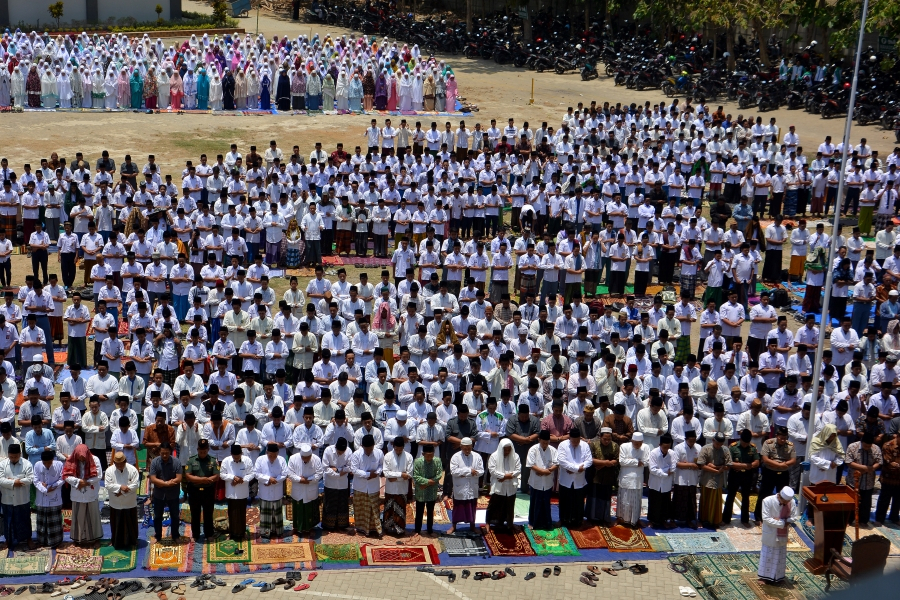Kebakaran Hutan dan Lahan Mulai Padam, Pemerintah Klaim Berkat Bantuan TMC