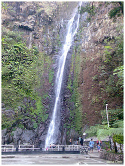 Air Terjun Sedudo Nganjuk Longsor, Tiga Wisatawan Tewas