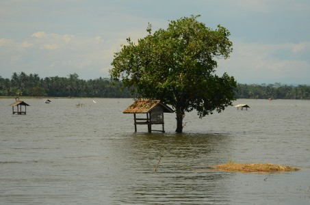 Bencana Banjir  Pangandaran, Ribuan Keluarga Mengungsi