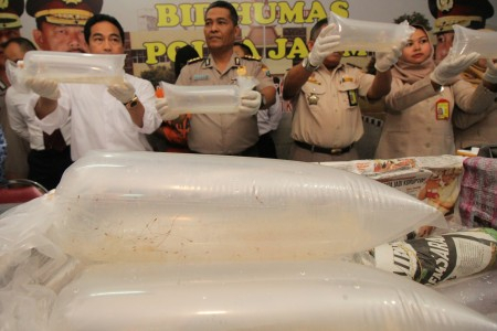 Ekspor Benih Lobster Tuai Kecaman, Ini Alasan Menteri Edhy Tetap Lanjut
