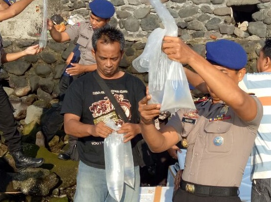 Polisi Banyuwangi Gagalkan Penyelundupan Ribuan Benih Lobster