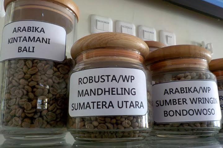 Ratusan Hektar Lahan Kopi di Bondowoso Diremajakan