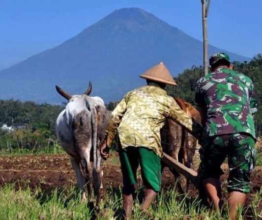 Jokowi Naikkan Operasional Babinsa Hingga 770 Persen