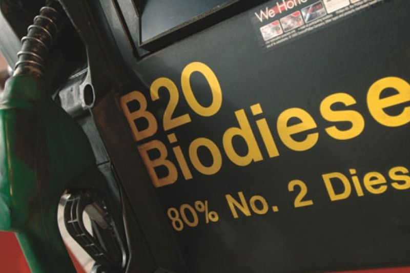Denda Rp360 Miliar bagi Perusahaan Tak Patuhi Aturan B20 Tepat