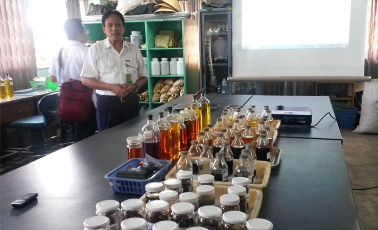 [Advertorial] Biodiesel Buah Nyamplung Solusi Untuk Energi Indonesia